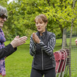 Playful 'Laughter Boxes'